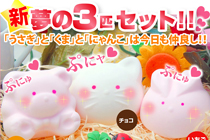 マシュマロ夢の三匹セット