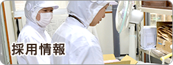 採用情報